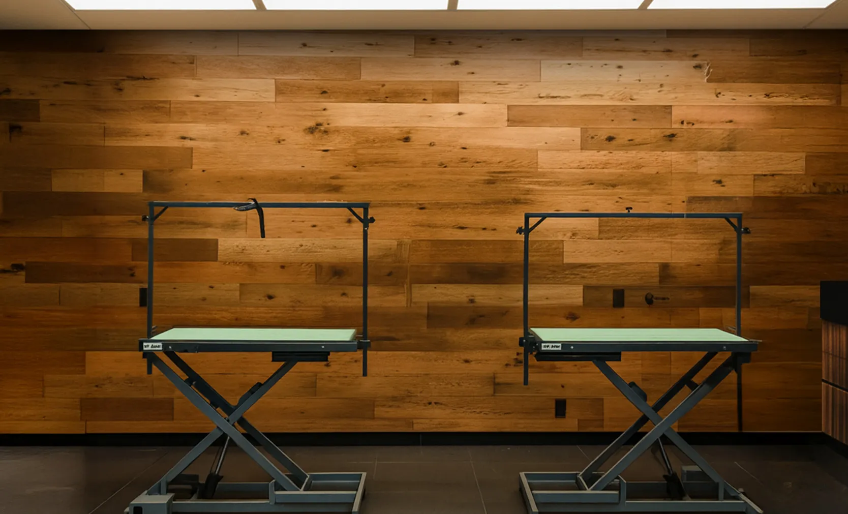 Salón de Grooming